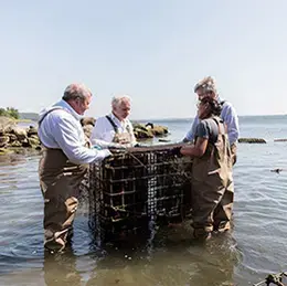 President Miaoulis visits RWU Aquaculture with Senators Reed and Whitehouse