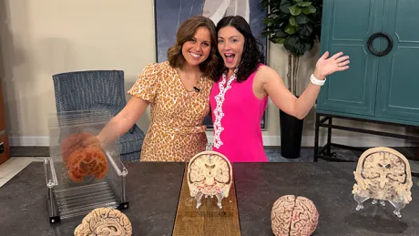 Brain Chats with Dr. V