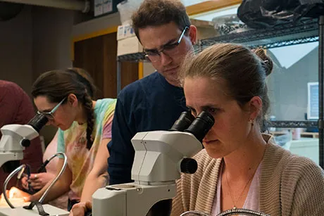 Professor works with students on coral research.