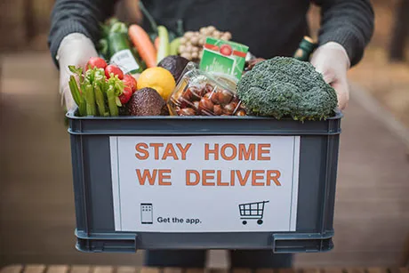 Person holding basket of produce