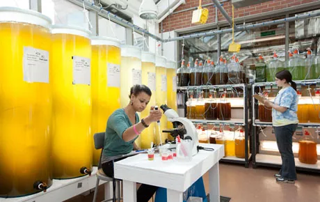 Students work in the wet lab
