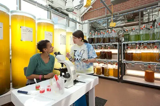 Students discussing project in science lab.