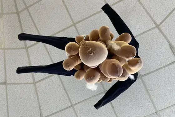 Student artwork "pantyhose"