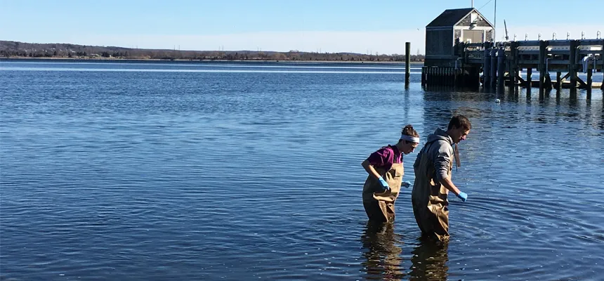 Students wading in the water