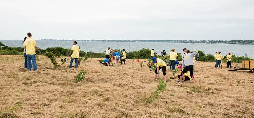 Students work together outdoors on community engaged project