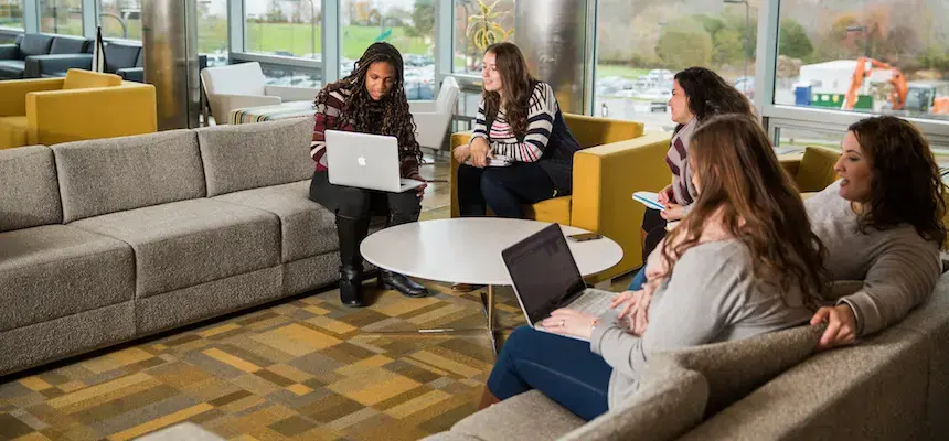 group of female students studying together