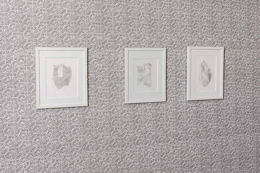 Detail of Wallpaper and Drawings 