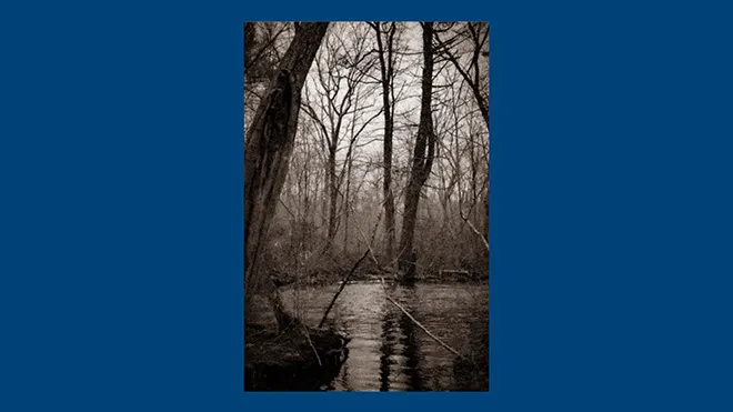 "At Least 5 By Midday" by Celeste Roberson 
