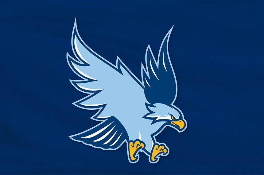 An illustration of a hawk flying
