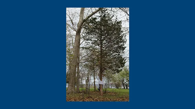 "Solitude" by Soraya Bussatti-Espanol