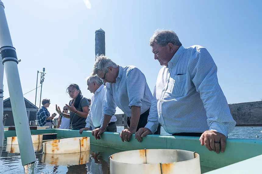 The Senators and President Miaoulis look into an oyster upweller.